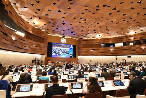 盧沙野大使談臺(tái)海局勢 決不允許臺(tái)灣從祖國分裂出去