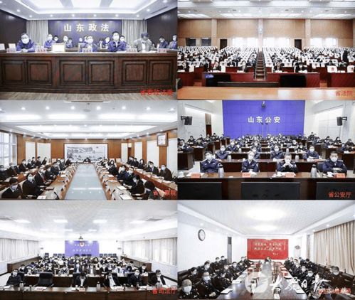 第二批政法隊(duì)伍教育整頓工作推進(jìn)會(huì)召開