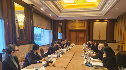 盧國懿出席致公黨中央與僑海人士座談會(huì)