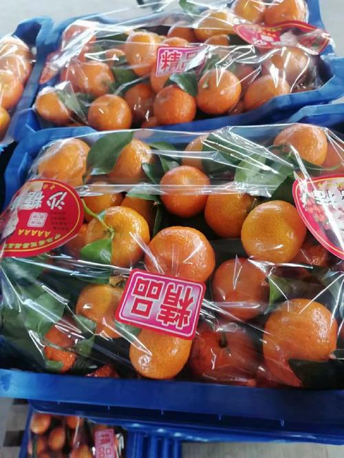 團購風口下，我只想守住舌尖上的底線